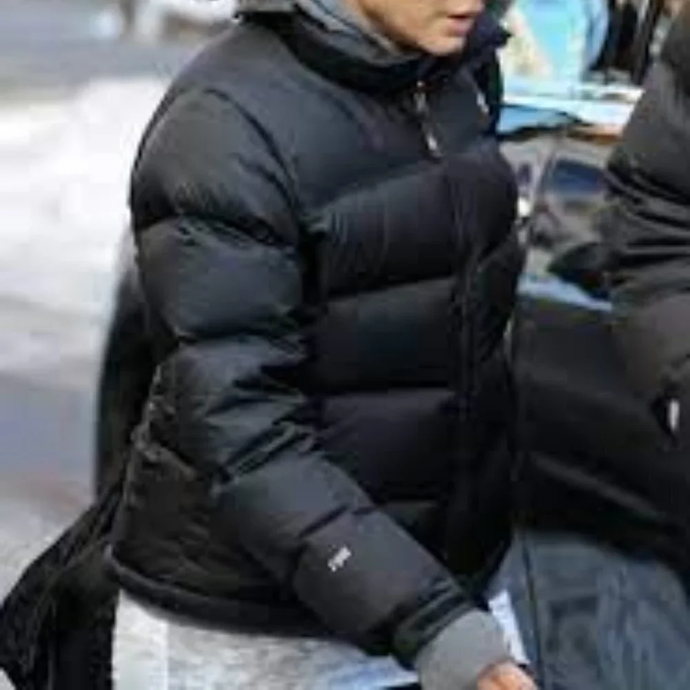 The North Face original north
